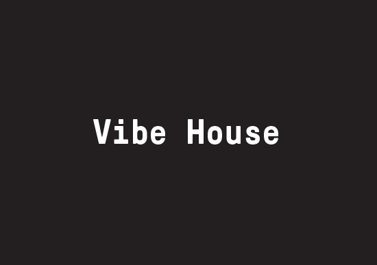 Vibe House logo